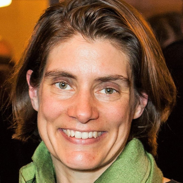 Julia Reinhardt 2017.jpg