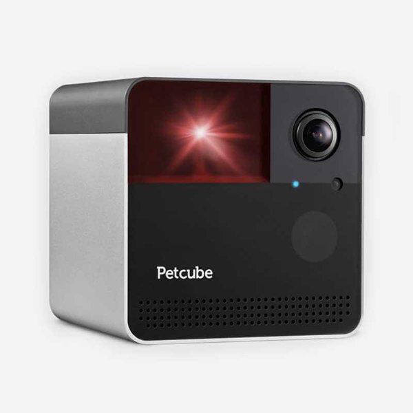 link to Petcube Play 2 & Bites 2