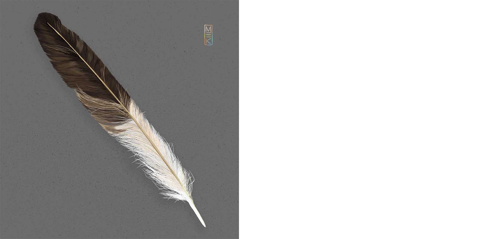 Illustration of a feather
