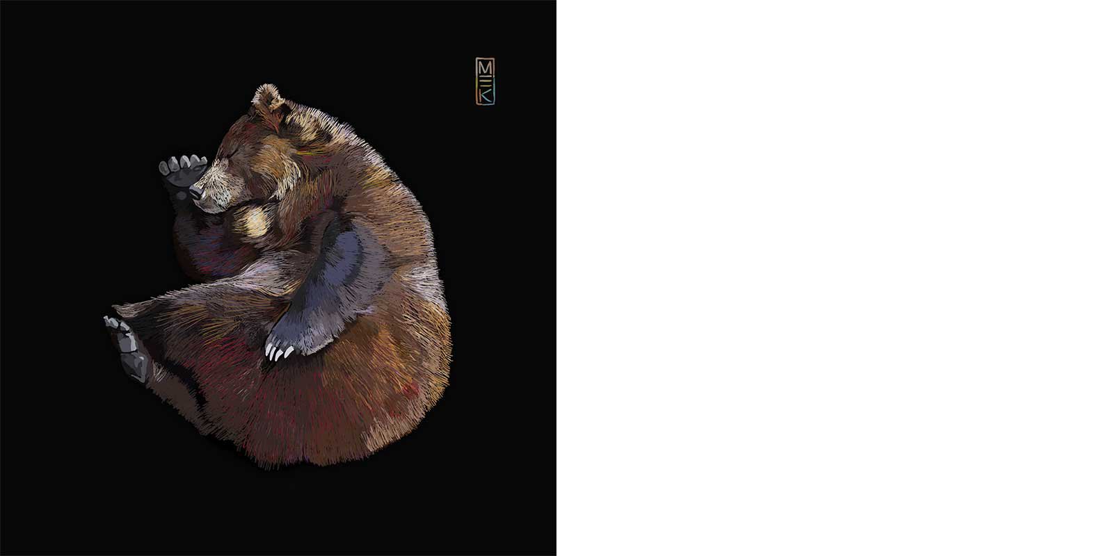 Illustration of a bear