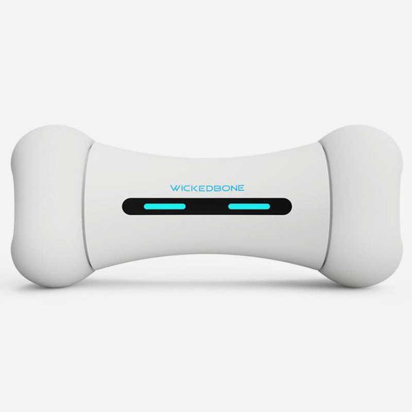 link to Wickedbone Interactive Gaming Toy For Dogs